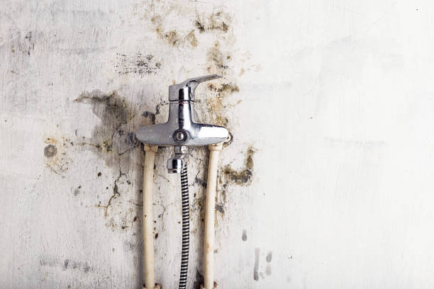 Best Water Damage Restoration  in Belleville, KS