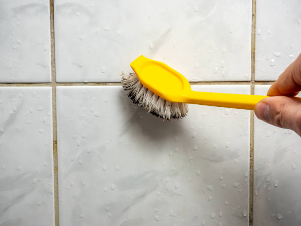 Best Mold Remediation  in Belleville, KS