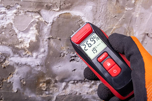 Best Affordable Mold Removal  in Belleville, KS