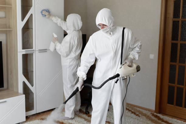 Mold Testing and Removal in Belleville, KS