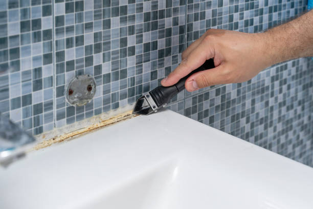 Best Mold Damage Repair  in Belleville, KS